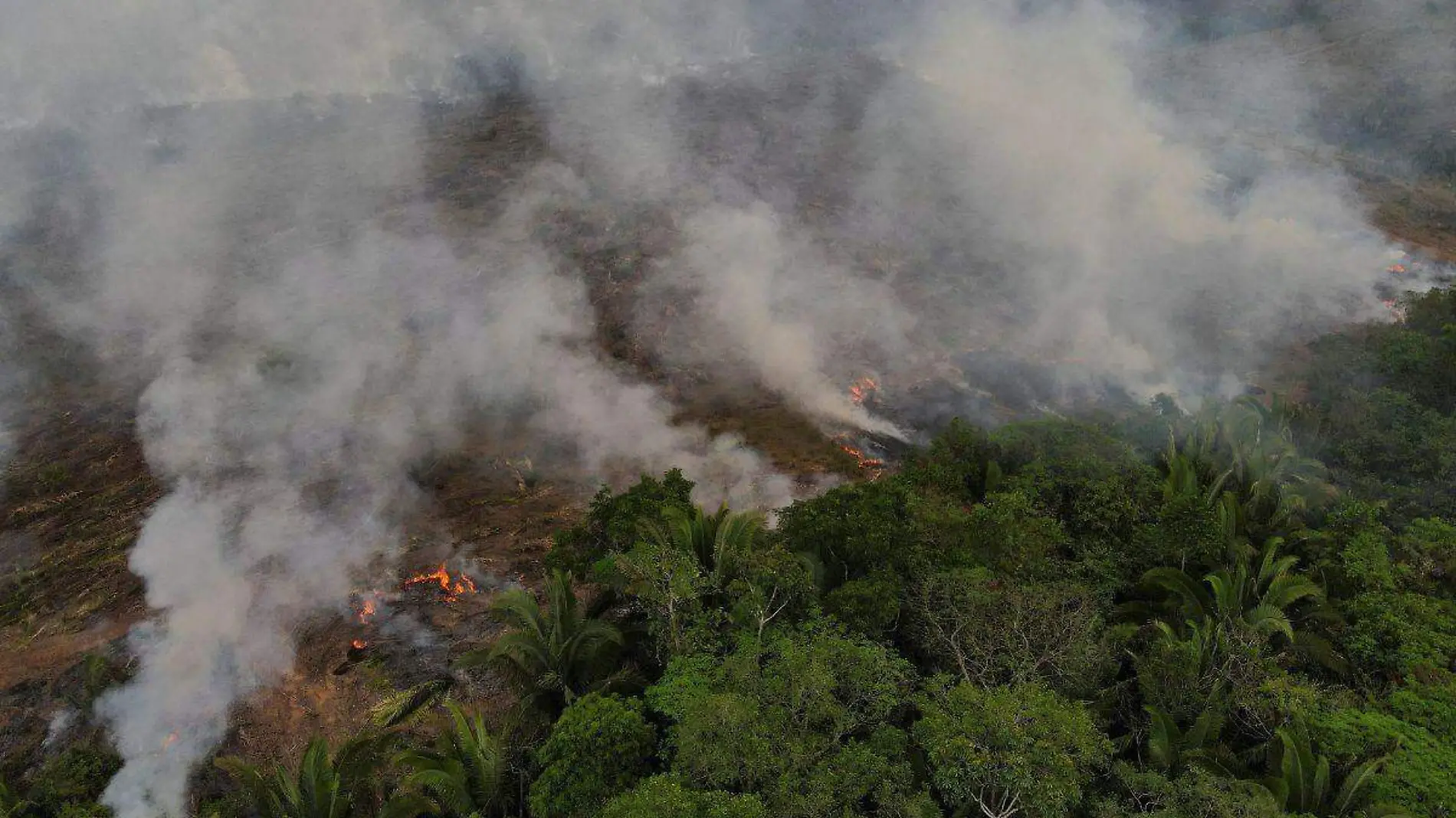 Amazonía de Brasil registra en agosto el mayor número de incendios en más de una década